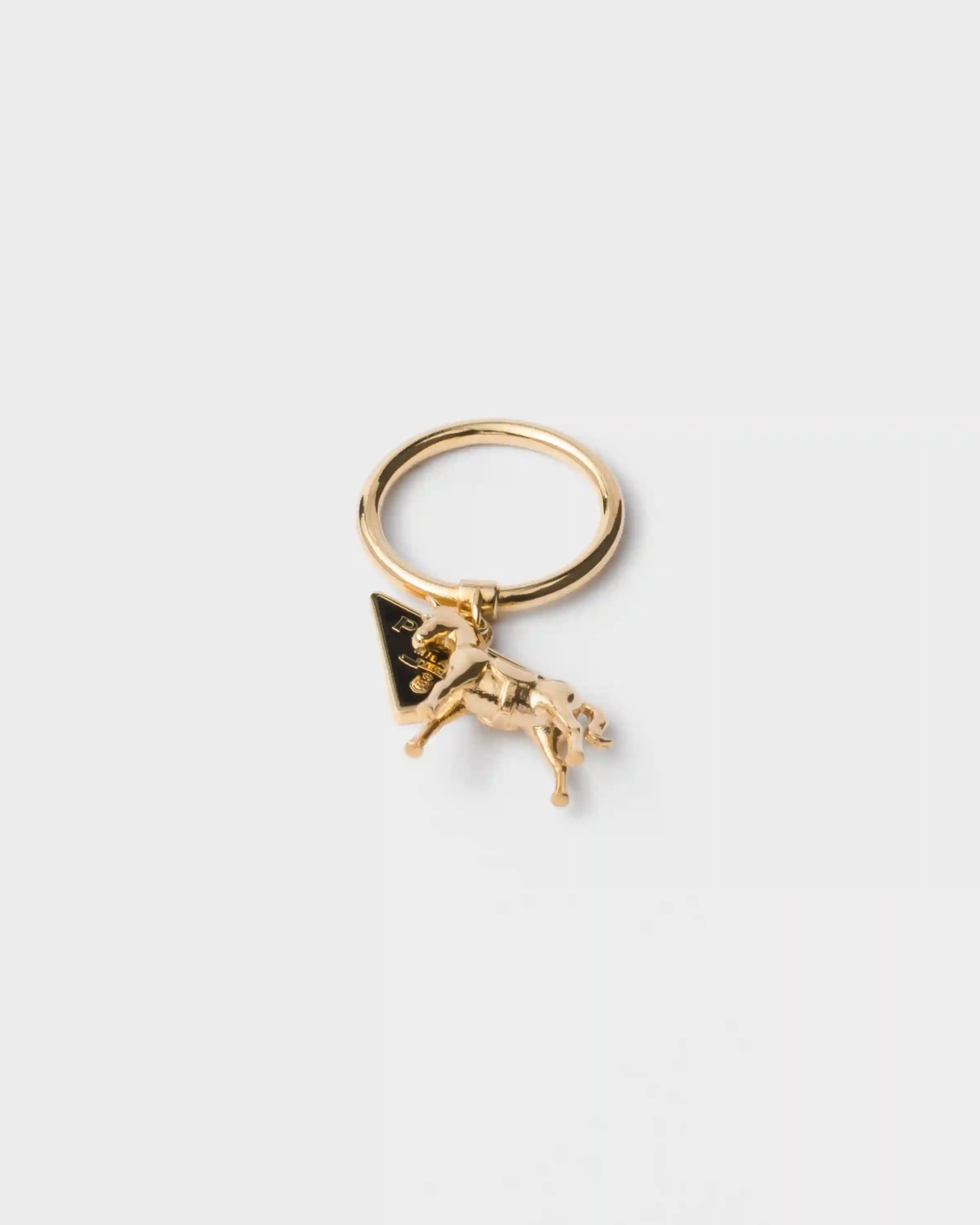 Metal and enamel ring