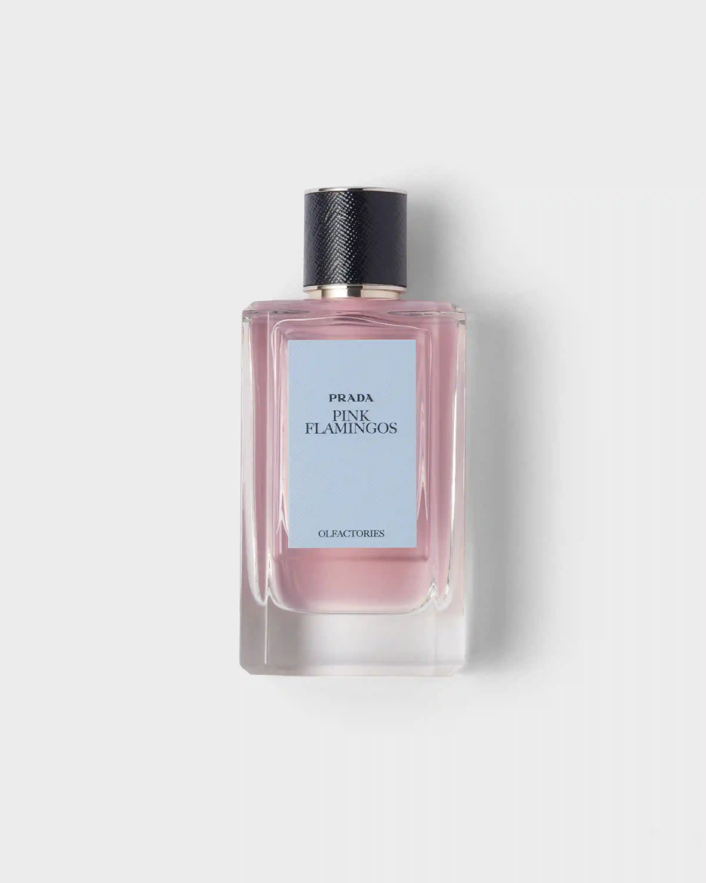 Olfactories - Pink Flamingos EDP 100 ml