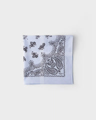 Printed batiste scarf