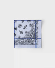 Printed cotton scarf 65