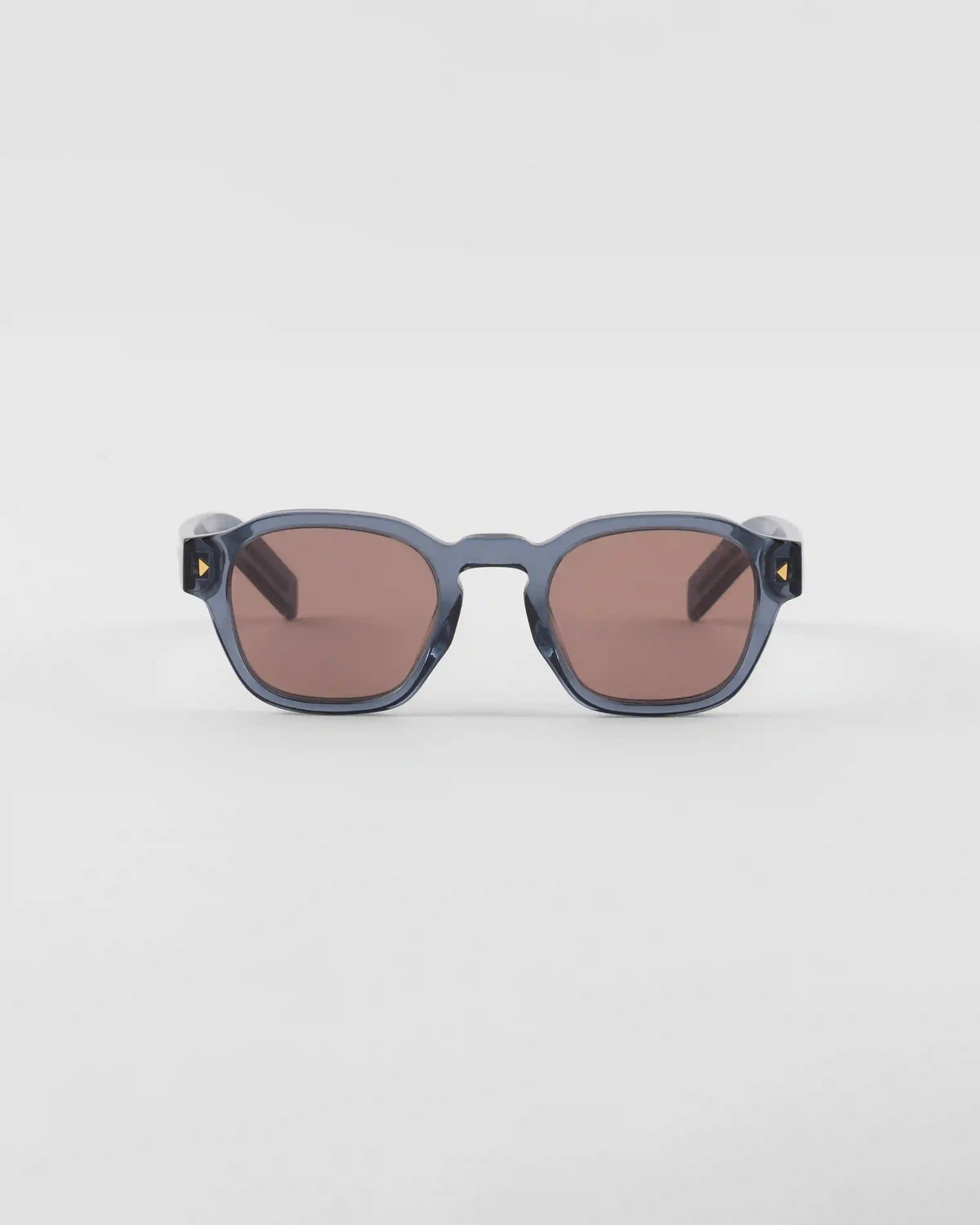 Sunglasses with iconic metal plaque