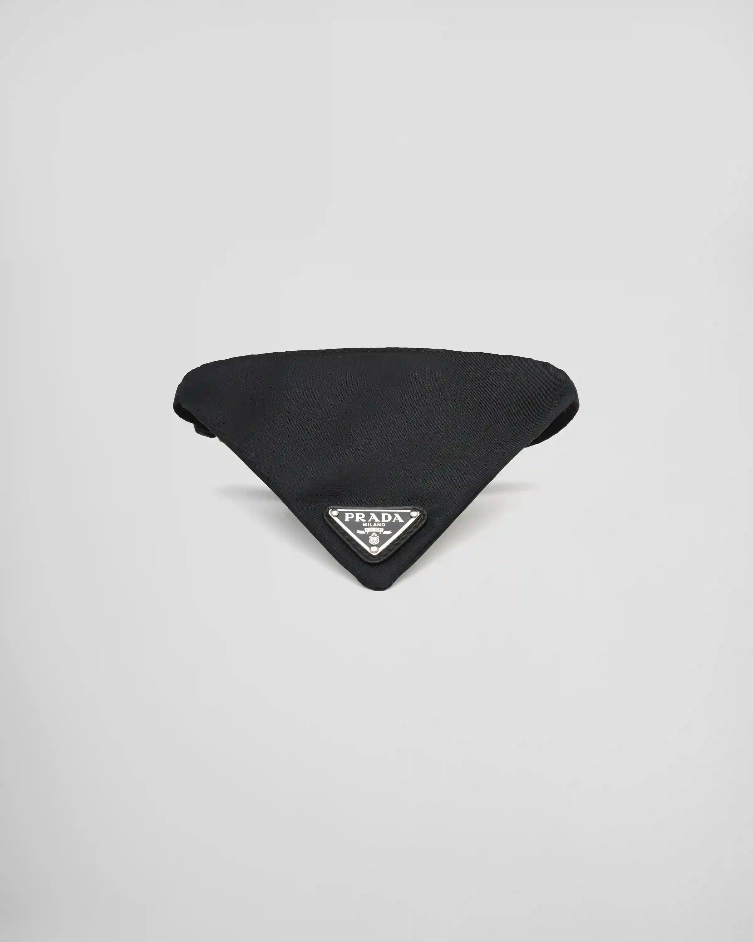 Re-Nylon pet collar